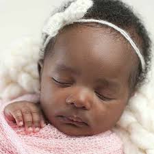 2018 SCHOOL DIRECTORS GUIDE