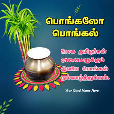 Tamil New Year And Pongal Wishes Happy Pongal Wishes Image Wishes Gif Link