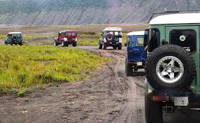 Posted on 27 agu 2020. Harga Transport Dan Sewa Jeep Bromo Dari Surabaya Sewa Jeep Bromo Murah Harga Terbaru 2017