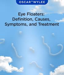 Image result for Floaters