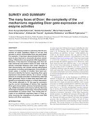 Papa moll, papá moll está muy centrado en su trabajo en la fábrica de chocolate y no atiende a las quejas de sus hijos. Https Pdfs Semanticscholar Org F212 4bf361b51923d6ee75ebeb7fcbd25e7e427c Pdf