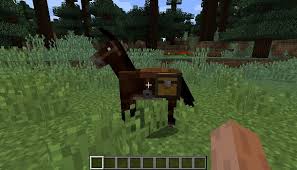 Los caballos se encuentran generalmente en las llanuras del bioma. Como Domar A Un Caballo En Minecraft 2021
