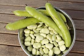 Maybe you would like to learn more about one of these? Broad Beans