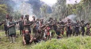 Kumpulan berita apa itu gencatan senjata: Syarat Tarik Militer Di Papua Opm Tawarkan Ri Gencatan Senjata Saat Corona