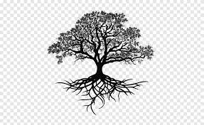 Tropical black and white pattern line art background pattern black white hand drawn black and white tree wallpaper beautiful view black and white nature patterned black and white background. Black And White Tree Illustration Tree Oak Drawing Silhouette Trees Silhouette Watercolor Painting Pencil Png Pngegg