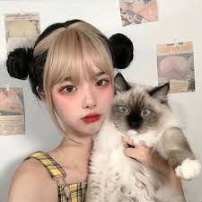 Foto kucing anggora yang ketawa 7. 120 Ulzzang Ideas In 2021 Ulzzang Ulzzang Girl Ulzzang Korean Girl