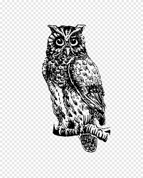 66 gambar sketsa hewan terlengkap 2020. Burung Hantu Buku Puisi Burung Hantu Kreatif Hewan Monokrom Png Pngegg