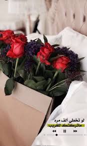 pin by oxejeny1 on كتآبات cute quotes islamic quotes quran arabic quotes