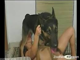 Dog And Girl Group Sex