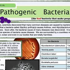 Pathogenic Bacteria Study Guide Good Study Guides Biology