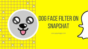 Certain lenses and filters can be unlocked . How To Get Dog Filter On Snapchat Jypsyvloggin