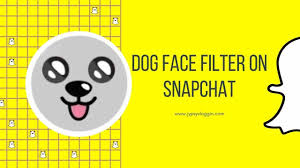 To revisit this article, select my account, thenview saved stories by seun. How To Get Dog Filter On Snapchat Jypsyvloggin
