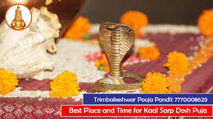 Kaal Sarp Dosh Puja - Smartpuja.Com