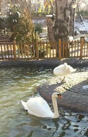 Ankara Kugulupark