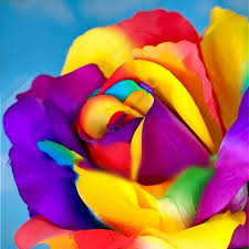 40 surprisingly awesome dollar store crafts rainbow roses rose seeds rainbow flowers