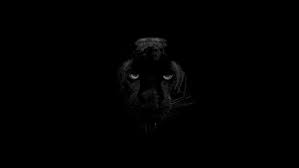 Explore 4k black wallpaper on wallpapersafari | find more items about 4k seahawks wallpaper, space wallpaper 4k, 4k wallpaper for my desktop. Black Panther 4k Hd Wallpapers Free Download Wallpaperbetter