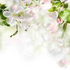 Pin On Funeral Flower Arrangements