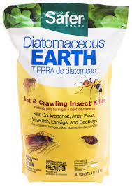 Instant answers to your frequently asked questions about 24/7 pest control in london & book your desired treatment with us today for emergency pest what types of payment do you accept? Diatomaceous Earth 4lbs Omri Listed Safer Brand