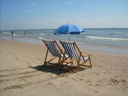 Buchen sie einen erholsamen urlaub im strandhaus in holland. Kurzurlaub Mit Hund An Der Nordseekuste Holland Travel4dogs Hundereisen