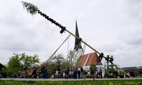 Maypole (garlanded pole put up for may day, e.g. Maibaum Regiowiki Niederbayern