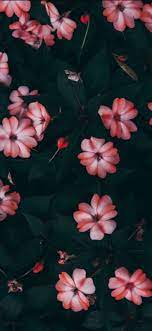 Lockscreens Flowers Vibe Backgrounds Reblog Or Fav Flower Iphone Wallpaper Sunflower Wallpaper Cellphone Wallpaper