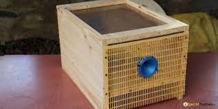 Placer un frelon asiatique vivant sur le piège est très efficace pour attirer d'autres frelons asiatiques et repousser les abeilles. Fabriquer Un Piege A Frelons Asiatiques Piege Selectif