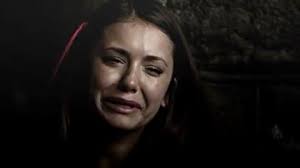 Pin By Amara Kuch On Gahhhh Video Vampire Diaries Poster Vampire Diaries Wallpaper Vampire Diaries Memes