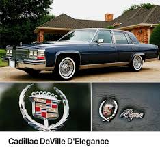 Image result for Beige Antelope 1983 Fleet