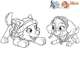 Coloriez Les Membres De La Patpatrouille Les Petits Chiens Les Plus Mignons Coloriage Coloriage Pat Patrouille Dessin Pat Patrouille Coloriage Paw Patrol
