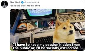 The site owner hides the web page description. Pgg7mvinw7ytim