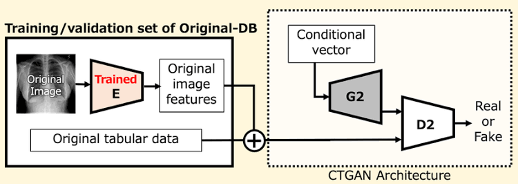 Training of conditional tabular GAN (CTGAN). In this step, using the... | Download Scientific Diagram