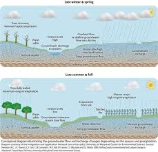 Seasonal Water Table Freshwater Photo Jpg Ian Image And Video Library Free High Resolution And Vector Environm Science Images Water Table Groundwater