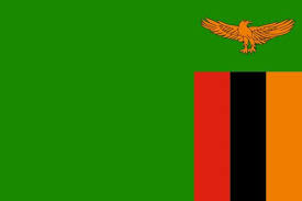 These courses have fresh syllabus. Cooking Around The World Zambia Zambia Flag Flags Of The World Zambian Flag