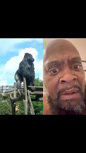 He want all the smoke