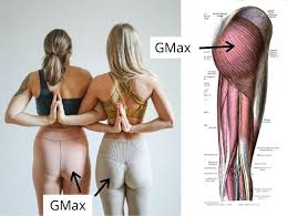It, along with your gluteus medius, responds well to exercise. Flat Bum After Pregnancy Why You Should Care Mama Made Strong