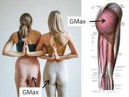 That means it's really sensitive, and for many women, stimulating it is the best way to orgasm. Flat Bum After Pregnancy Why You Should Care Mama Made Strong