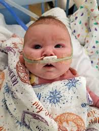 Zayden Drayce Jensen Obituary November 20, 2022