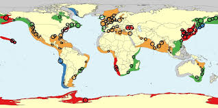 Jellyfish Are Increasing In The Majority Of The World S Coastal Ecosystems According To A New Study Jellyfish Weird Sea Creatures Freshwater Jellyfish