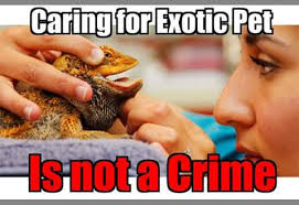 This can be used for animals, supplies or both. Exotic Pets Philippines Home Facebook