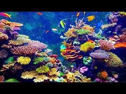 Nothing will be shipped to. Youtube Acrylic Painting Tutorials Painting Painting Tutorial