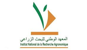 Pin On Alwadifa Maroc
