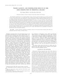 Image result for Halopyrum mucronatum