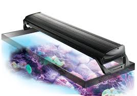 Light Fixtures Coralife Marine Freshwater Aquarium Supplies