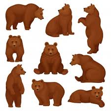 Set Of Large Bear In Different Poses Wild Forest Creature With Brown Fur Cartoon Character Of Big Mammal Animal In 2021 Bear Character Design Bear Illustration Bear Art