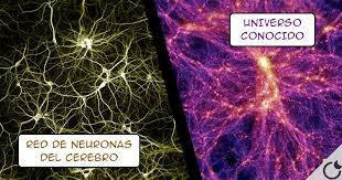 Resultado de imagen de Un ser humano es simplemente parte de algo que llamamos universo