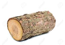 Wood Log Wood Texture Reference Wood Logs Wood Wood Texture