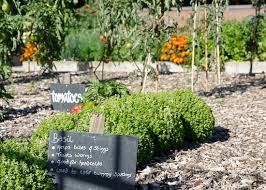 kitchen garden houghton hall park