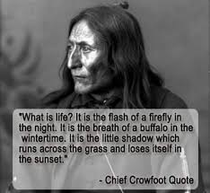 The Wayne Smoke Snellgrove