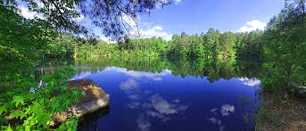 Image result for Pomaria