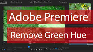 How can we improve premiere rush? Green Pink Screen Adobe Premiere Solve Youtube